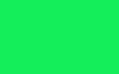 Fluorescent Green  15" Roll